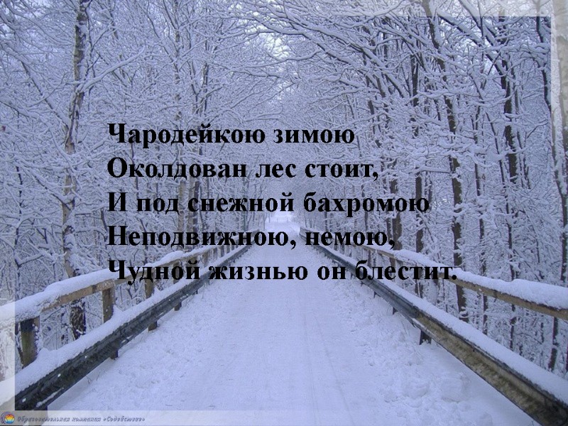 Чародейкою зимою Околдован лес стоит, И под снежной бахромою Неподвижною, немою, Чудной жизнью он